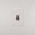 Hand-printed black and white linocut art of a Colorado potato beetle, unframed