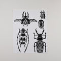 Hand-printed black and white linocut art of a compact beetle collection, unframed