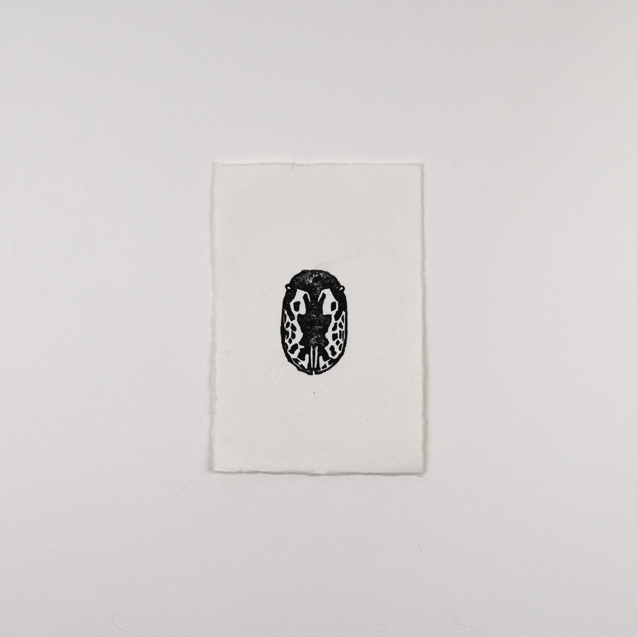 Hand-printed black and white linocut art of a confluent leaf beetle, unframed