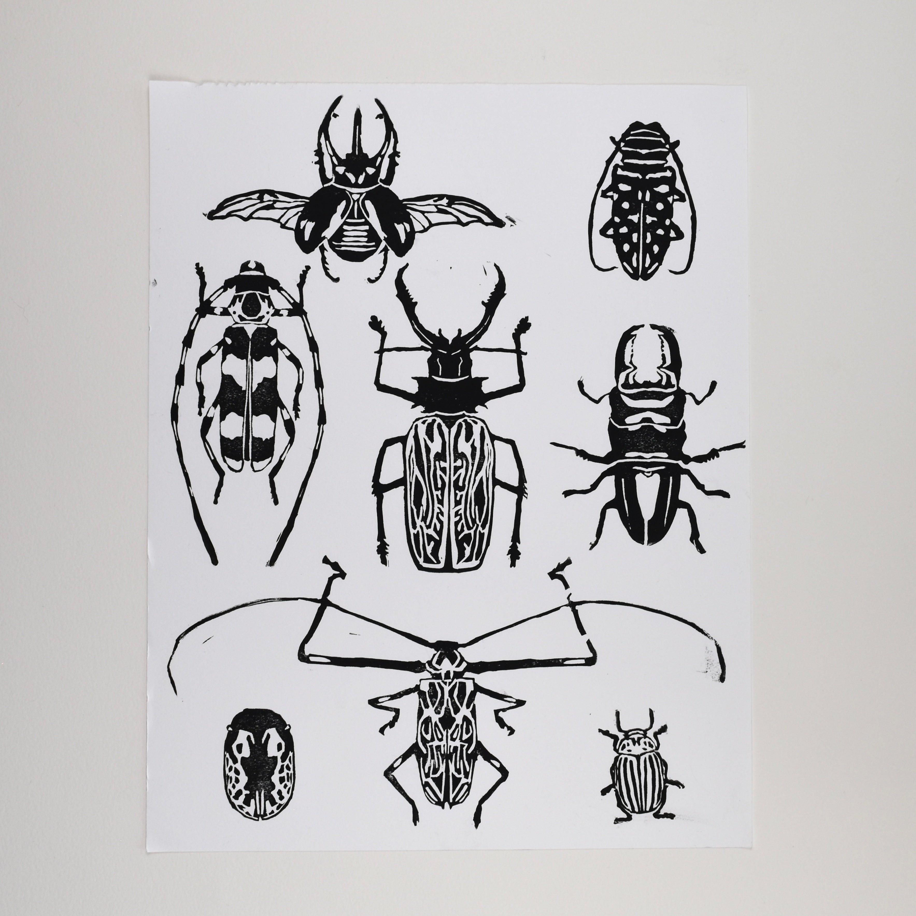 Hand-printed black and white linocut art of an expanded beetle collection, framed