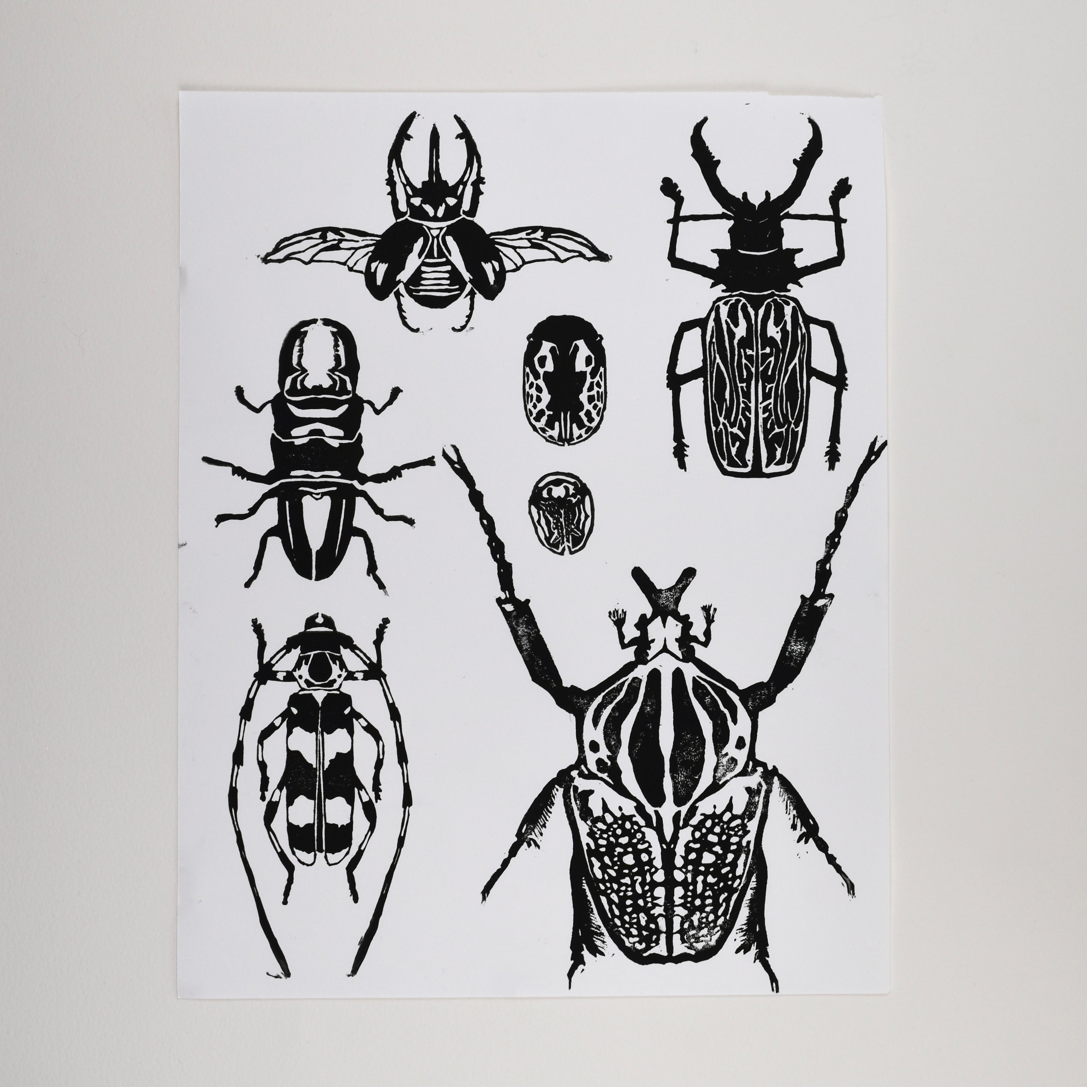 Hand-printed black and white linocut art of an expanded beetle collection, unframed