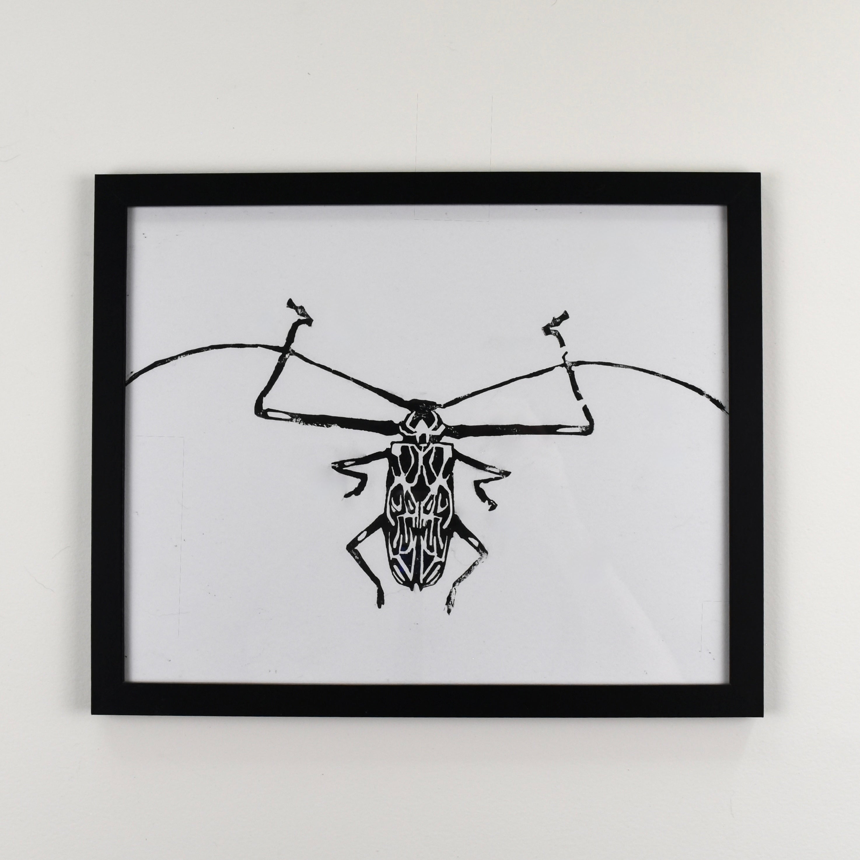 Hand-printed black and white linocut art of a giant harlequin beetle, framed