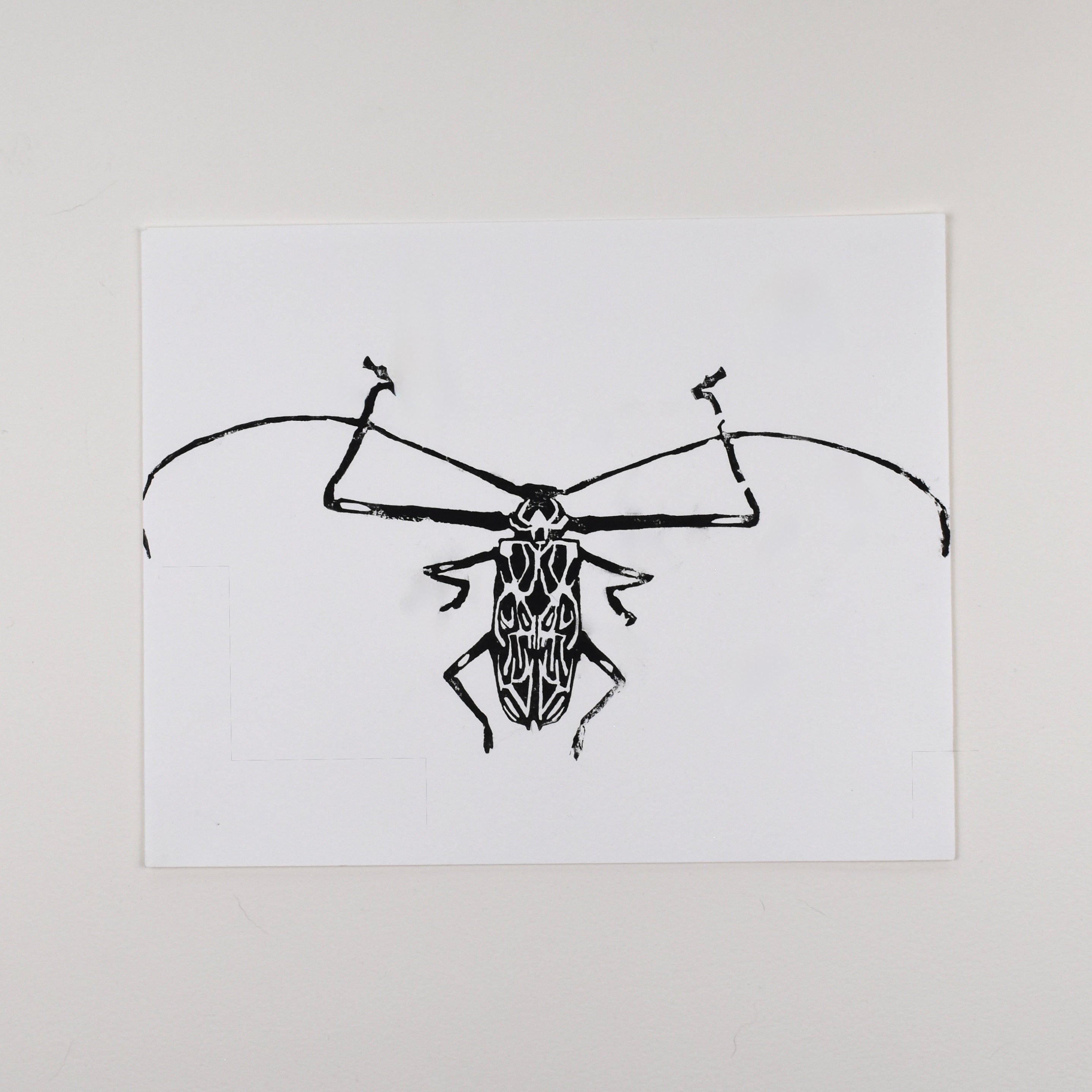 Hand-printed black and white linocut art of a giant harlequin beetle, unframed