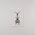 Hand-printed black and white linocut art of a giraffe weevil, unframed
