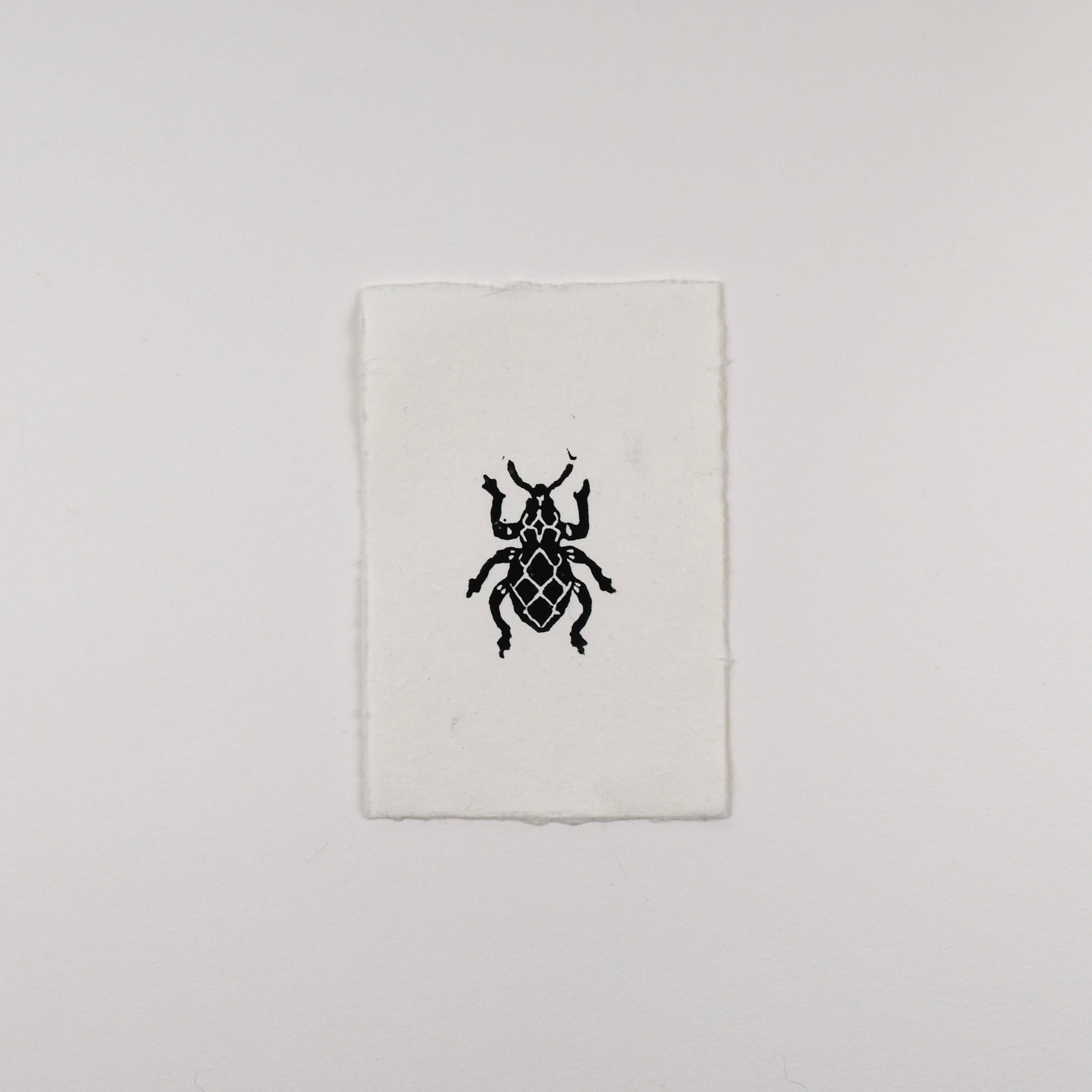 Hand-printed black and white linocut art of a jewel weevil, unframed