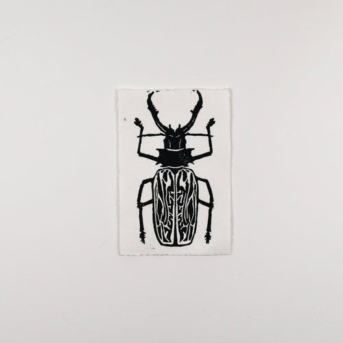 Hand-printed black and white linocut art of a sabertooth longhorn beetle, unframed
